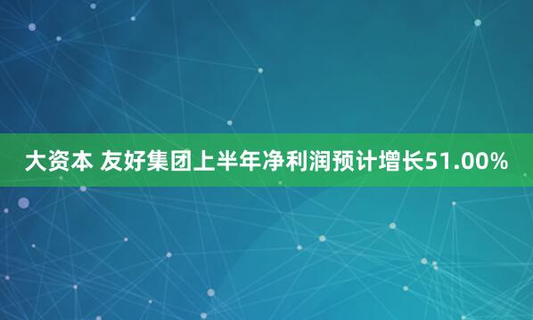 大资本 友好集团上半年净利润预计增长51.00%