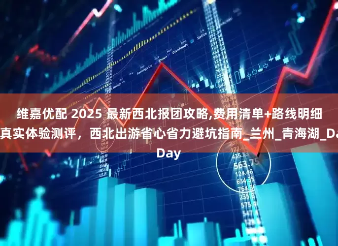 维嘉优配 2025 最新西北报团攻略,费用清单+路线明细，真实体验测评，西北出游省心省力避坑指南_兰州_青海湖_Day