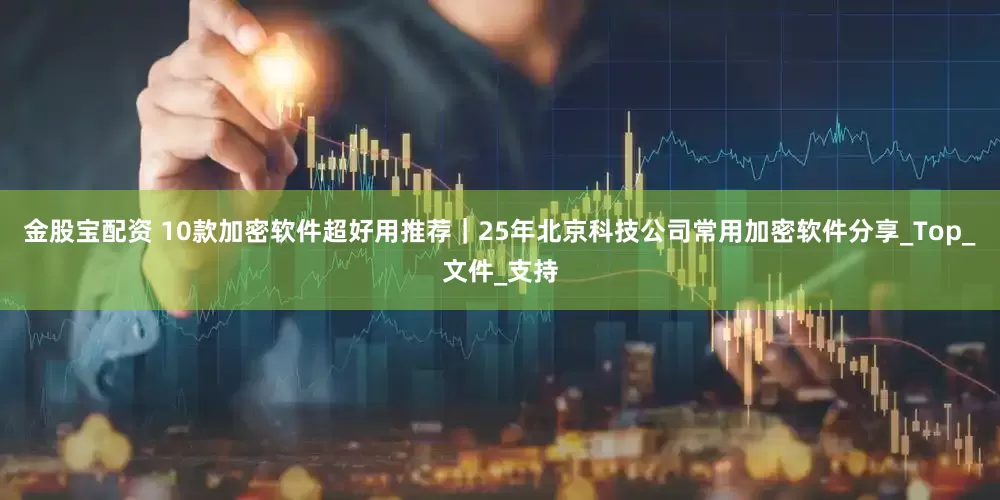 金股宝配资 10款加密软件超好用推荐｜25年北京科技公司常用加密软件分享_Top_文件_支持
