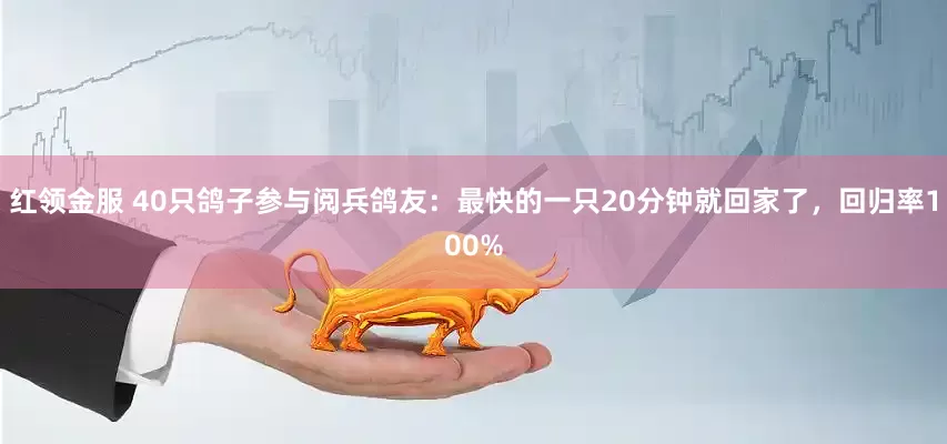 红领金服 40只鸽子参与阅兵鸽友：最快的一只20分钟就回家了，回归率100%